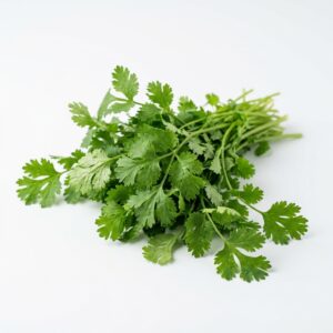 धनिया / Coriander