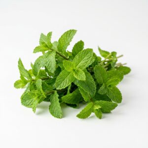 पुदीना / Mint